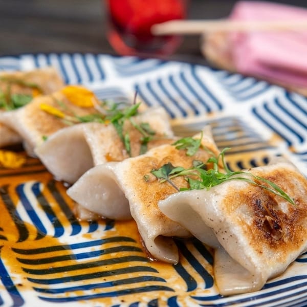 Pan-fried dumplings with sauce and herbs on a blue and white patterned plate.